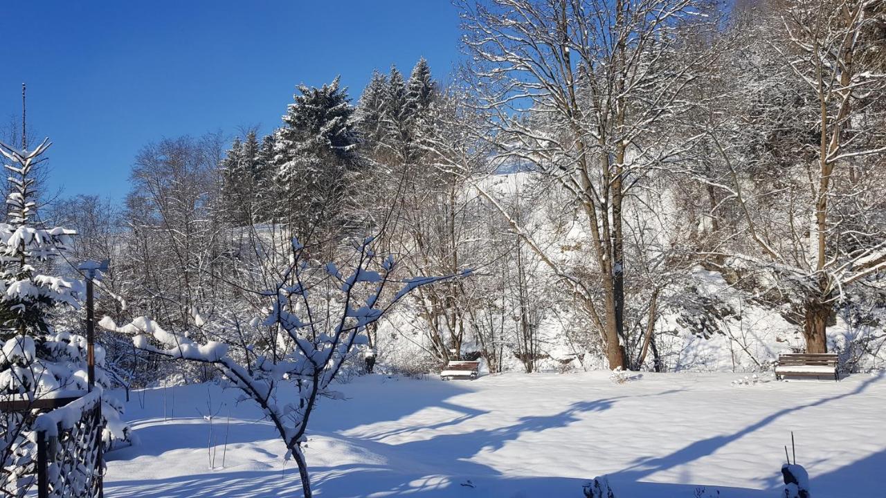 Gallery Of Mountains Holiday Home Yasinya Dış mekan fotoğraf